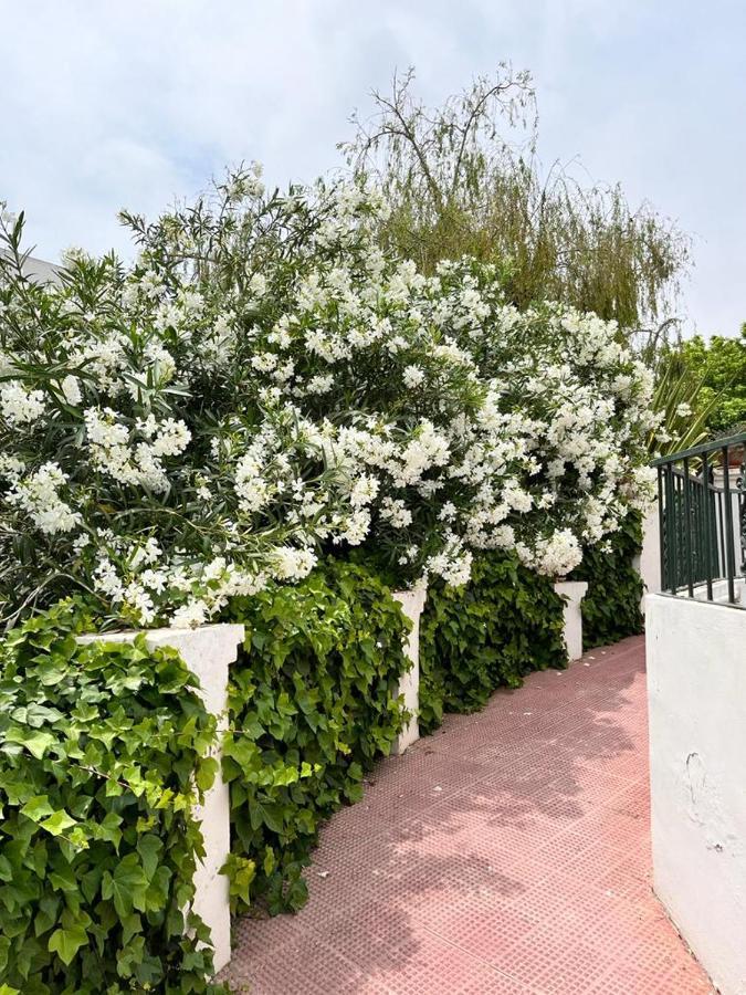 Girasoles Beach Appartement Benalmádena